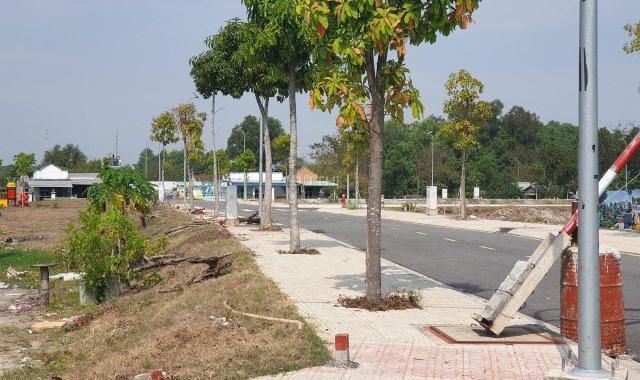 Bán đất nền dự án tại đường Tỉnh Lộ 8, Xã Hòa Phú, Củ Chi, Hồ Chí Minh diện tích 94m2