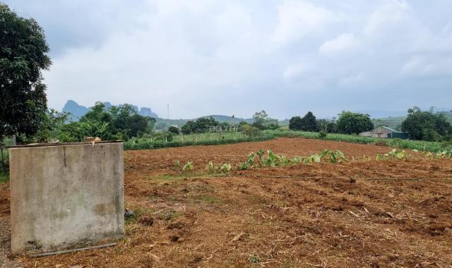 Bán đất trang trại Cao Phong, DT 11000m2 giá hơn 300 nghìn/m2