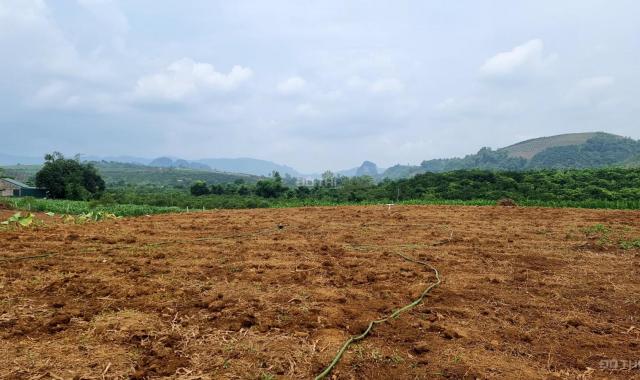 Bán đất trang trại Cao Phong, DT 11000m2 giá hơn 300 nghìn/m2