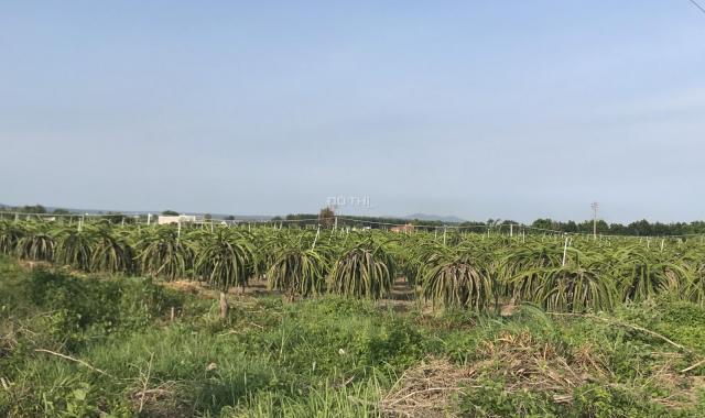 Bán đất phủ hồng mặt tiền Mai Thúc Loan - Tân Hải - Tx LaGi giá đầu tư