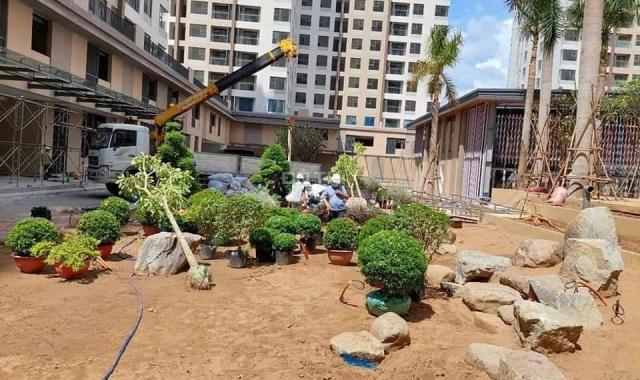 Căn 56m2 view công viên trung tâm cần bán gấp, giá thật không chênh có hỗ trợ vay ngân hàng dài hạn