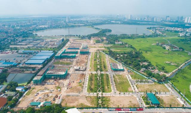 Bán nhà biệt thự, liền kề tại dự án Louis City Hoàng Mai, Hoàng Mai, Hà Nội giá từ 100 triệu/m2