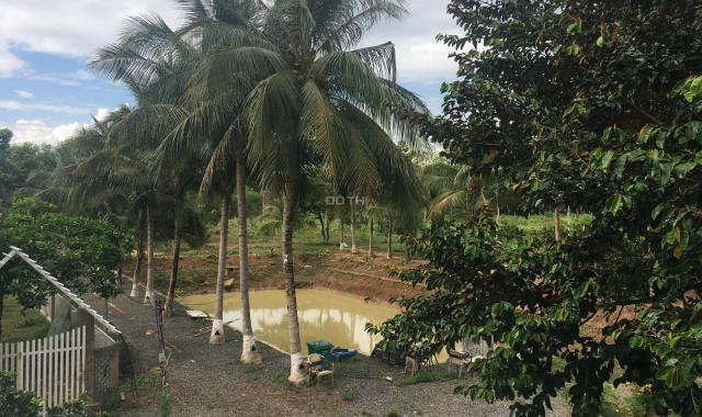 Cần bán gấp dự án homestay kết hợp vườn trái cây 5.1ha tại Vĩnh Cửu giá 14 tỷ
