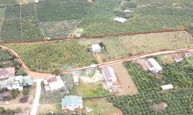 Bán đất tại Xã Đam Bri, Bảo Lộc, Lâm Đồng diện tích 614m2 giá 3.7 triệu/m2