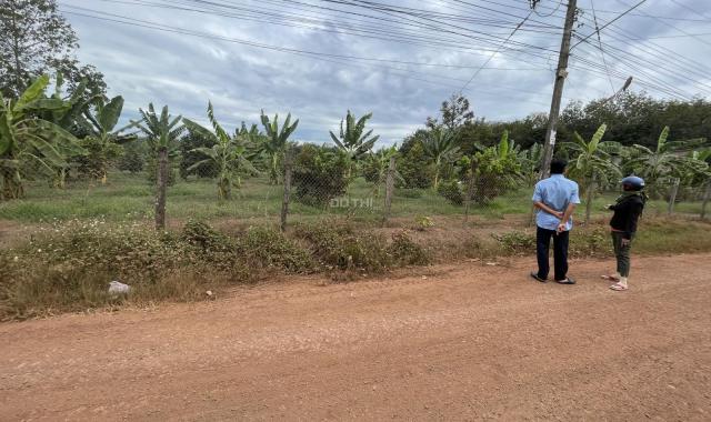 Bán 1 sào đất cây ăn quả MT đường liên xã, xã Quang Minh, Chơn Thành