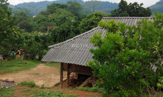 Bán đất Cao Phong giá chỉ 300 nghìn/m2 tặng nhà sàn