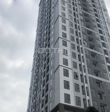 Bất động sản chung cư căn hộ tại trung tâm quận Hoàng Mai