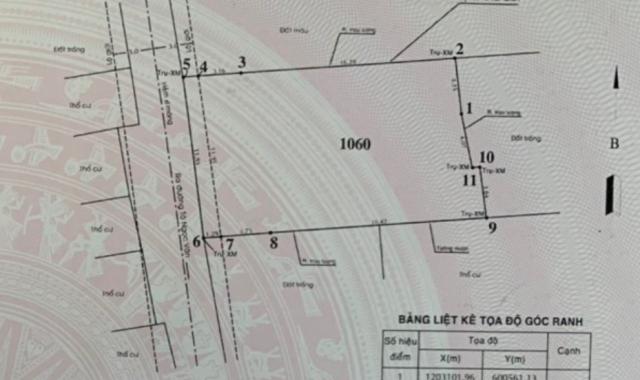 Đất ngộp ngân hàng, 250m2, 12x20.6m, 7.1 tỷ TL, Quận 12