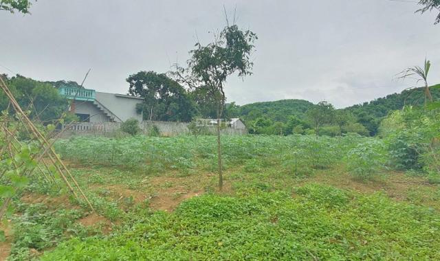 Bán nhanh lô đất thổ cư đẹp giá rẻ huyện Kim Bôi, Hoà Bình