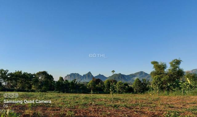 Bán đất Cao Phong 3000m đất vườn bằng phẳng view thoáng