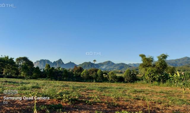 3000m2 full đất vườn nằm trong xã phát triển nhất Cao Phong, Hòa Bình view núi rừng Tây Bắc