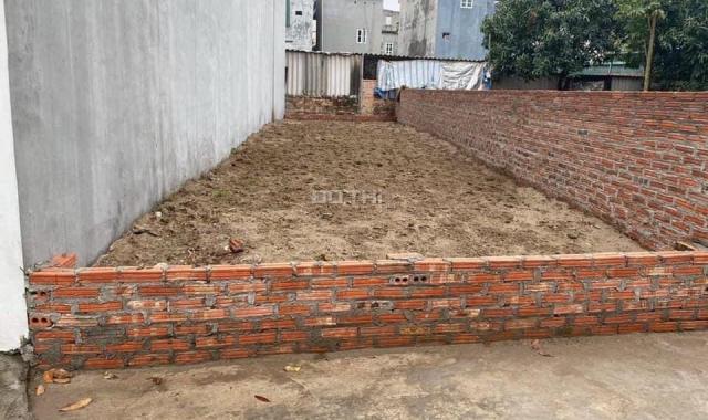 Bán đất Lương Quy (Xóm 3), Đông Anh, 66.3m2, đất vị trí đẹp