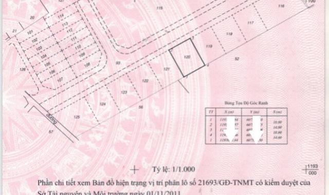 Bán đất biệt thự đường D4, Bình Khánh, Quận 2. DT 14x18m, giá 50 tỷ