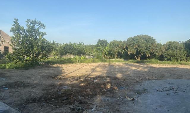 Bán lô đất 100% thổ cư sát khu công nghiệp Tràng Duệ (gd3) tại Bát Trang, An Lão, HP