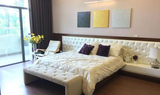 Cho thuê căn hộ tại Ngọc Khánh Plaza, tại số 1 Phạm Huy Thông, 2PN - 3PN, giá từ 12 triệu/tháng