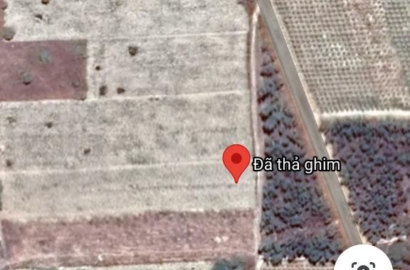Bán đất mặt tiền 555 triệu, 33x150m, KP 7, thị trấn Tân Nghĩa, Hàm Tân, Bình Thuận - 0933644449
