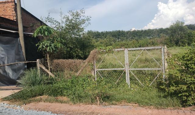 Chính chủ cần bán hơn 1 nghìn mét đất trồng cây hàng năm tại Xã Phước Hiệp, Củ Chi, TP. HCM