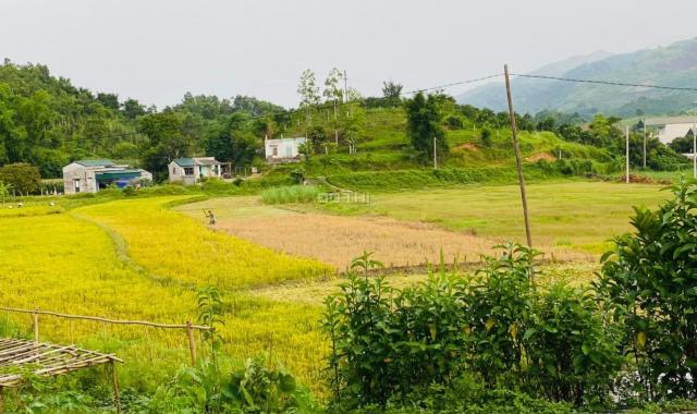 Chỉ với 1.5 tỷ sở hữu ngay 1ha đất nghỉ dưỡng tại Cao Phong, Hòa Bình