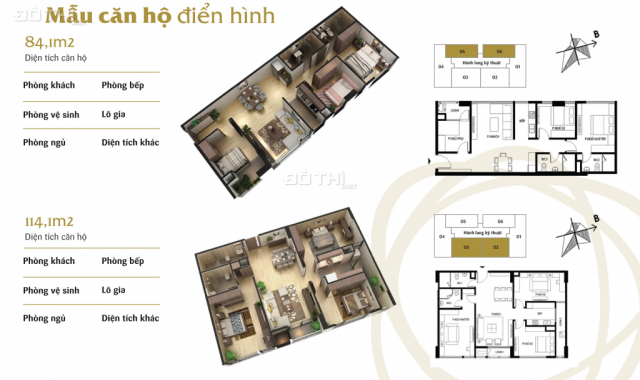 Cần bán gấp căn hộ 3 ngủ chung cư Terra 83 Hào Nam giá tốt nhất thị trường