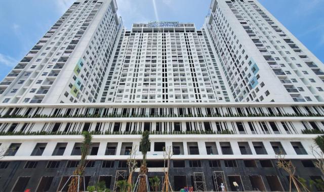Bán căn hộ chung cư tại dự án Ecolife Riverside, Quy Nhơn, Bình Định diện tích 64m2 giá 22 triệu/m2