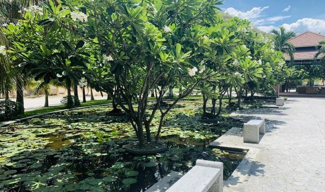 Chính chủ cần bán biệt thự vườn Giáng Hương, Nha Trang, LH: 0978 978 070