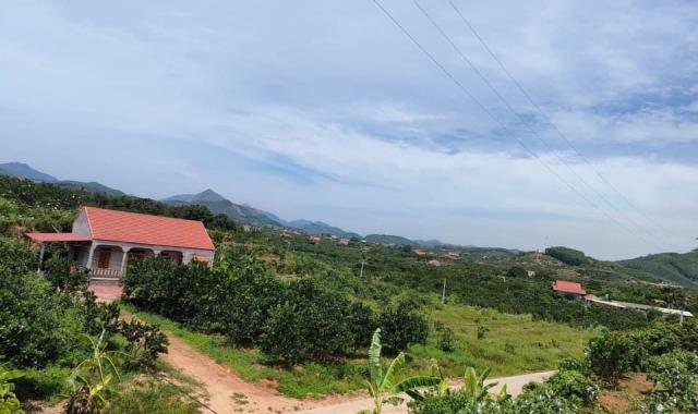 Lô đất 2 mặt tiền trung tâm xã Bình Sơn, Lục Nam, Bắc Giang