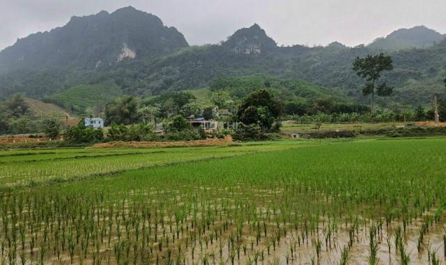 Cần bán 1 lô đất view cực đẹp tại huyện Kim Bôi, Hòa Bình