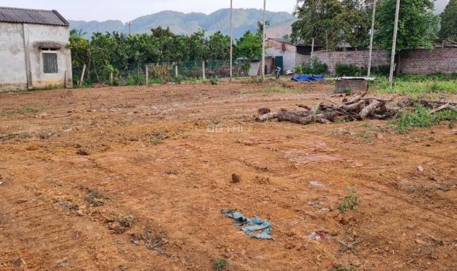 Bán đất xã Yên Bình, Thạch Thất đầu tư giá rẻ chỉ vài triệu 1 m2. Gần khu công nghệ cao Hòa Lạc