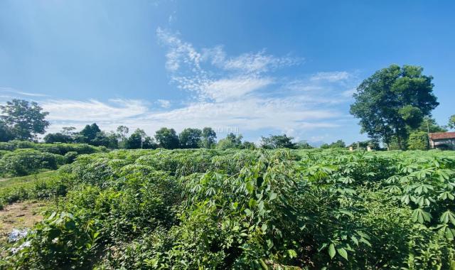 Đất nghỉ dưỡng Cẩm Lĩnh Ba Vì Hà Nội 7000 m2 giá chỉ 1tr/m2. Liên hệ 0971262926: Duy Tân