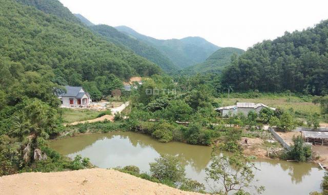 Cần sang nhượng 28ha đất rừng sản xuất giá rẻ tại Kim Bôi, Hòa Bình