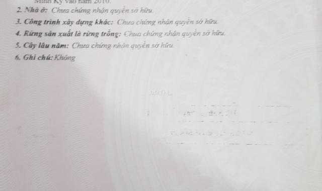 Cần bán nhà mặt tiền xã Lý Văn Lâm, Cà Mau, Cà Mau, giá tốt