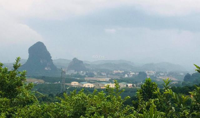 Chuyển nhượng 10.89ha đất rừng sản xuất rẻ đẹp tại Cao Phong, Hòa Bình