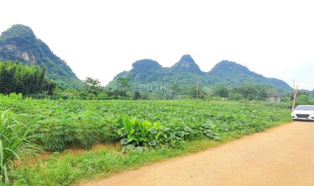 Bán đất tại Xã Tú Sơn, Kim Bôi, Hòa Bình diện tích 3624m2 giá 2.10 tỷ