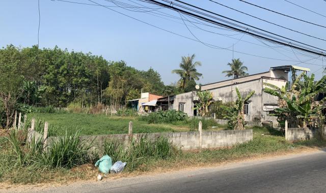 Bán đất 1793m2 mặt tiền Nguyễn Thị Rành, xã An Nhơn Tây, huyện Củ Chi