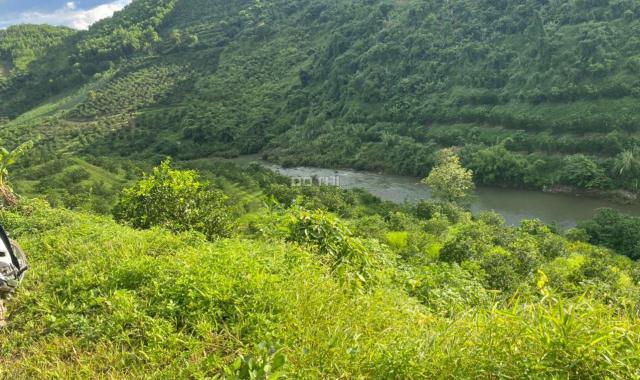 Bán đất Cao Phong - Hoà Bình, diện tích 11 ha, giá 7,2 tỷ
