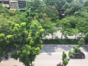 Chính chủ cần cho thuê căn hộ tập thể tại: Phường Thành Công - Ba Đình - Hà Nội