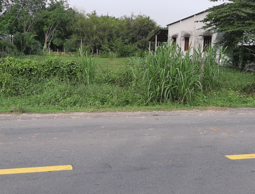 Cần bán đất vườn 1577m2 mặt tiền Nguyễn Thị Rành, xã An Nhơn Tây, huyện Củ Chi