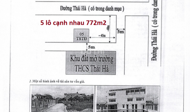 Bán gấp 1020m2 nhà đất phân lô xã Thái Hà, Thái Thụy, Thái Bình - Có bể bơi, sân vườn