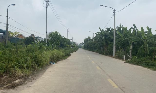 Bán 1000m2 đất Đại Lan, Duyên Hà, Thanh Trì