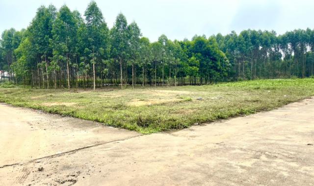 Bán ô đất 2 mặt tiền đẹp như tranh tại khu 10, thị trấn Phong Châu, huyện Phù Ninh, Phú Thọ