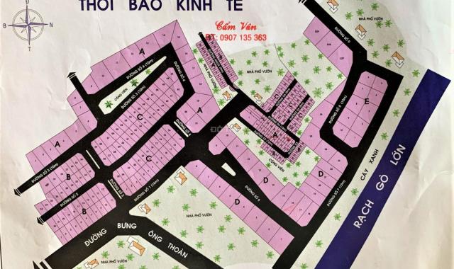 Bán đất nền dự án Thời Báo Kinh Tế, Phú Hữu, Quận 9, sổ đỏ - Giá tốt cạnh tranh nhất 11/2021