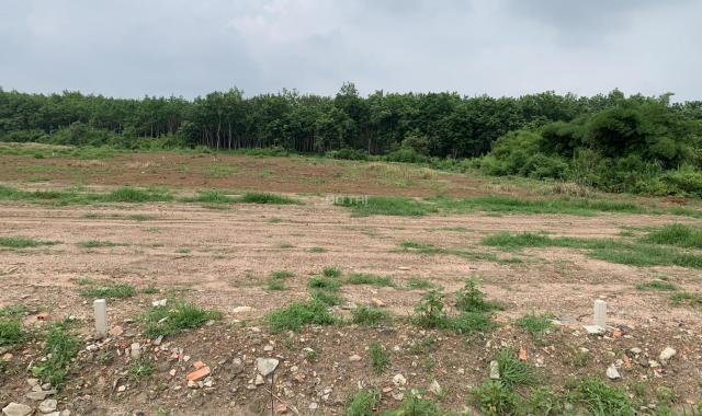 Bán đất tại đường Quốc Lộ 13, Xã Lộc Thịnh, Lộc Ninh, Bình Phước diện tích 300m2 giá 500 triệu