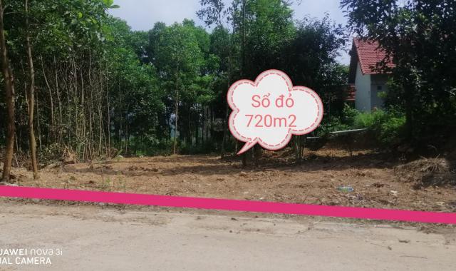 Chính chủ cần bán lô đất tại Nam Sơn, Sóc Sơn - Hà Nội