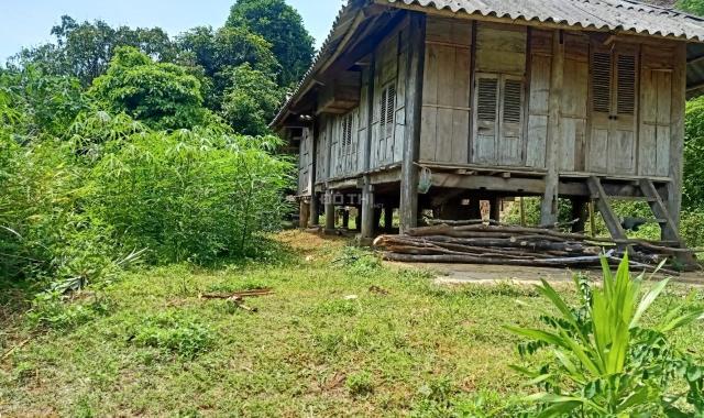 Bán gấp 4194m2 có 400m2 TC tại Cao Phong - Hòa Bình thích hợp làm homestay, nghỉ dưỡng, đầu tư