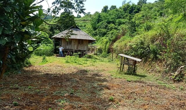 Bán gấp 4194m2 có 400m2 TC tại Cao Phong - Hòa Bình thích hợp làm homestay, nghỉ dưỡng, đầu tư