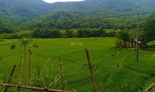 Bán đất tại Xã Hợp Tiến, Kim Bôi, Hòa Bình diện tích 15865m2 giá 650 triệu