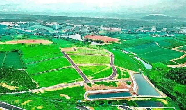Bán gấp lô đất nghỉ dưỡng ở Lộc Tân đối diện đồi chè Tâm Châu, gần TP Bảo Lộc giá từ 699 triệu