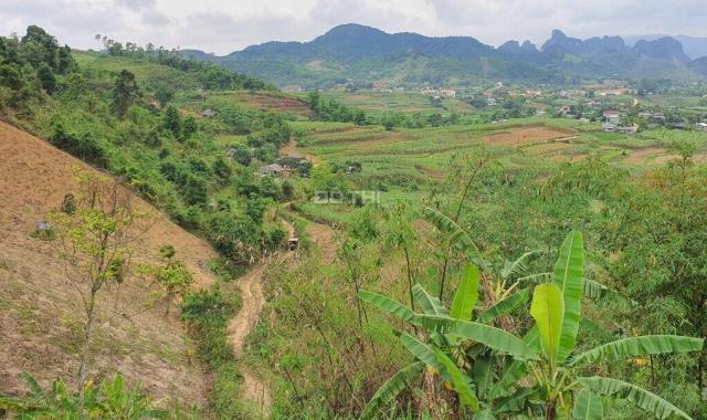 Bán đất Cao Phong 1.9ha 6000NT, view thung lũng, bám đường bê tông