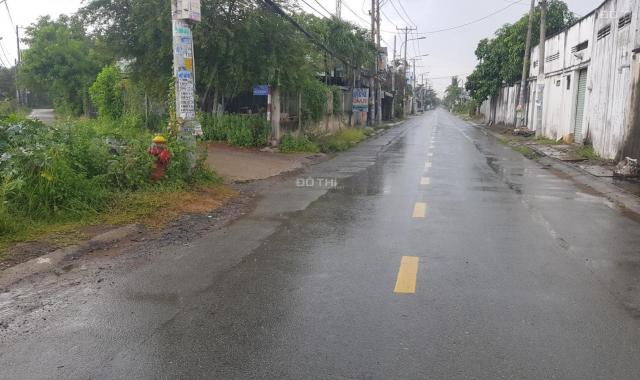 Bán đất tại đường Trịnh Như Khuê, Xã Bình Chánh, Bình Chánh, Hồ Chí Minh diện tích 196,4m2