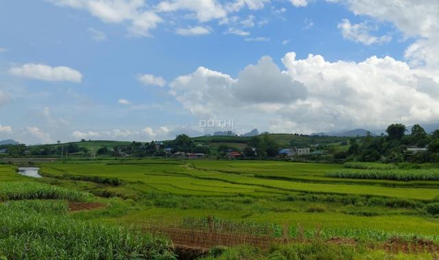 Quá rẻ đẹp để đầu tư 2100m thổ cư bám 2 mặt tiền view tuyệt đẹp giá chỉ 650tr Cao Phong Hòa Bình